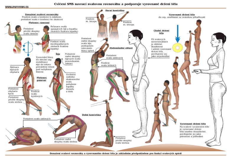 PIC SM systém Brandýs nad Labem